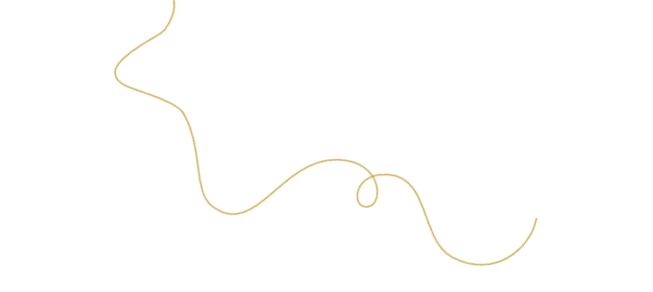 Connecteur vectorisé 3