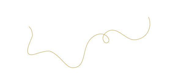 Connecteur vectorisé Matière noble cuir