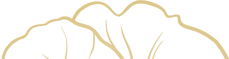 Element graphique pivoine